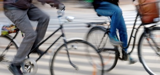 original_venice_bike_pan