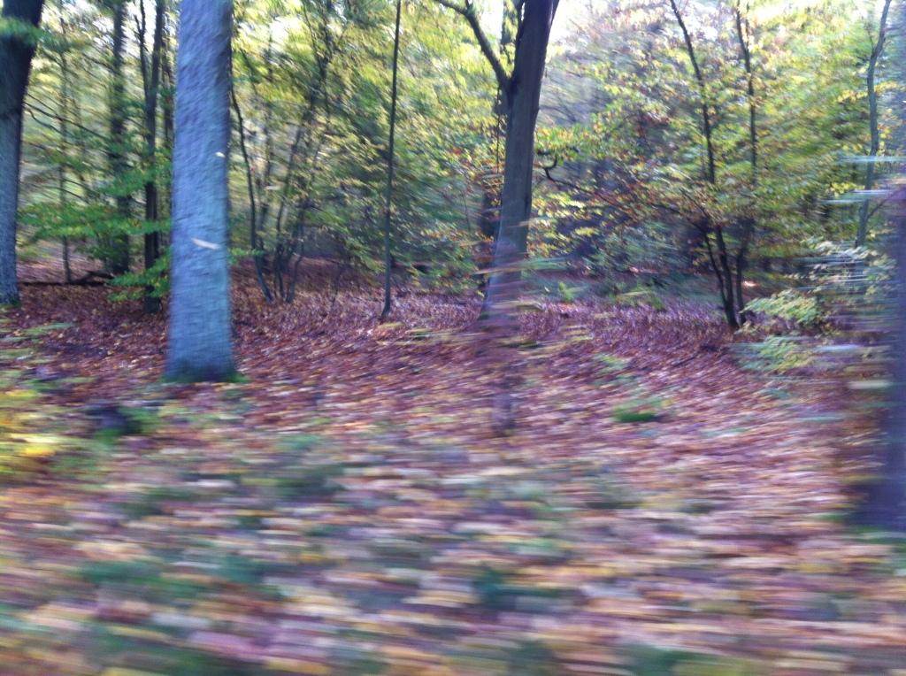 Foto 27-10-14 09 45 22