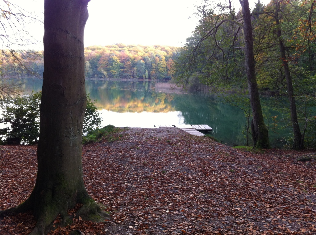 Foto 27-10-14 15 02 07