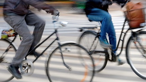 original_venice_bike_pan